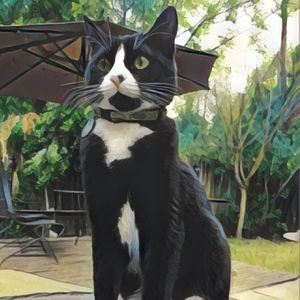 Meet your Posher, Jonathan